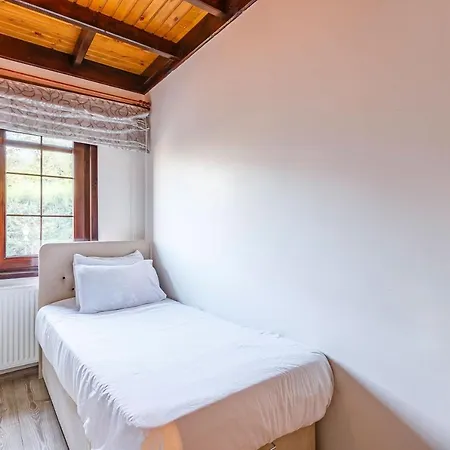 Dazzling Triplex With Shared Pool And Garden In Sapanca *